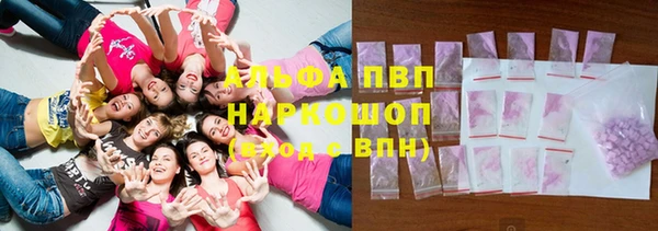хмурый Няндома