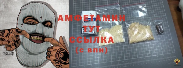 хмурый Няндома
